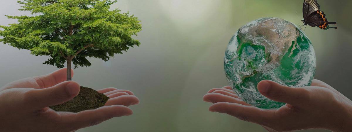 One pair of hands holds a small tree while another holds a miniature globe