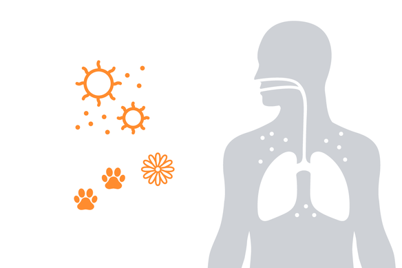 graphic-nanoex_allergens