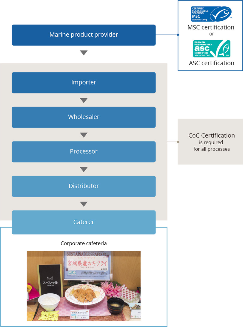 sustainable seafood flow infographic