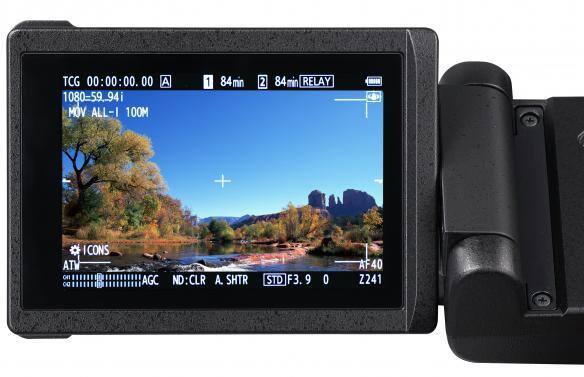 Handheld camcorder with a display screen showing a scenic view.