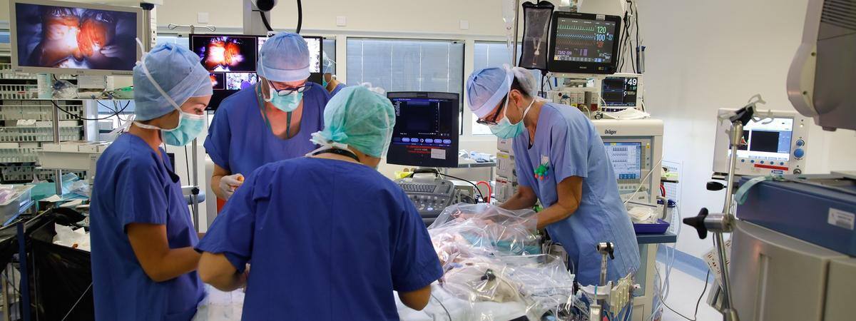 Imagemédia uses Panasonic PTZ cameras to record rare surgery